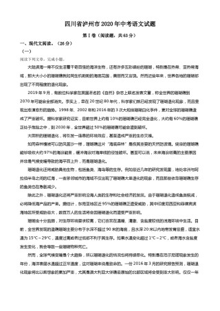 精品解析：四川省泸州市2020年中考语文试题（原卷版）.doc