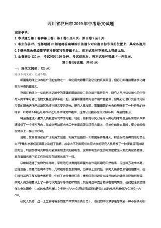 精品解析：四川省泸州市2019年中考语文试题（解析版）.doc