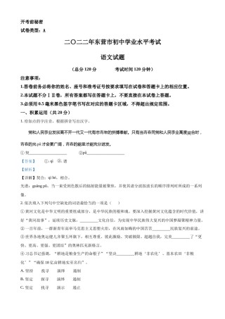 精品解析：2022年山东省东营市中考语文真题（解析版）.docx