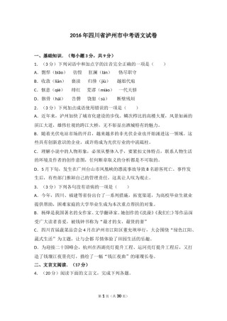 2016年四川省泸州市中考语文试卷（含解析版）.doc