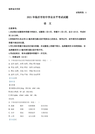山东省临沂市2021年中考语文试题（解析版）.doc
