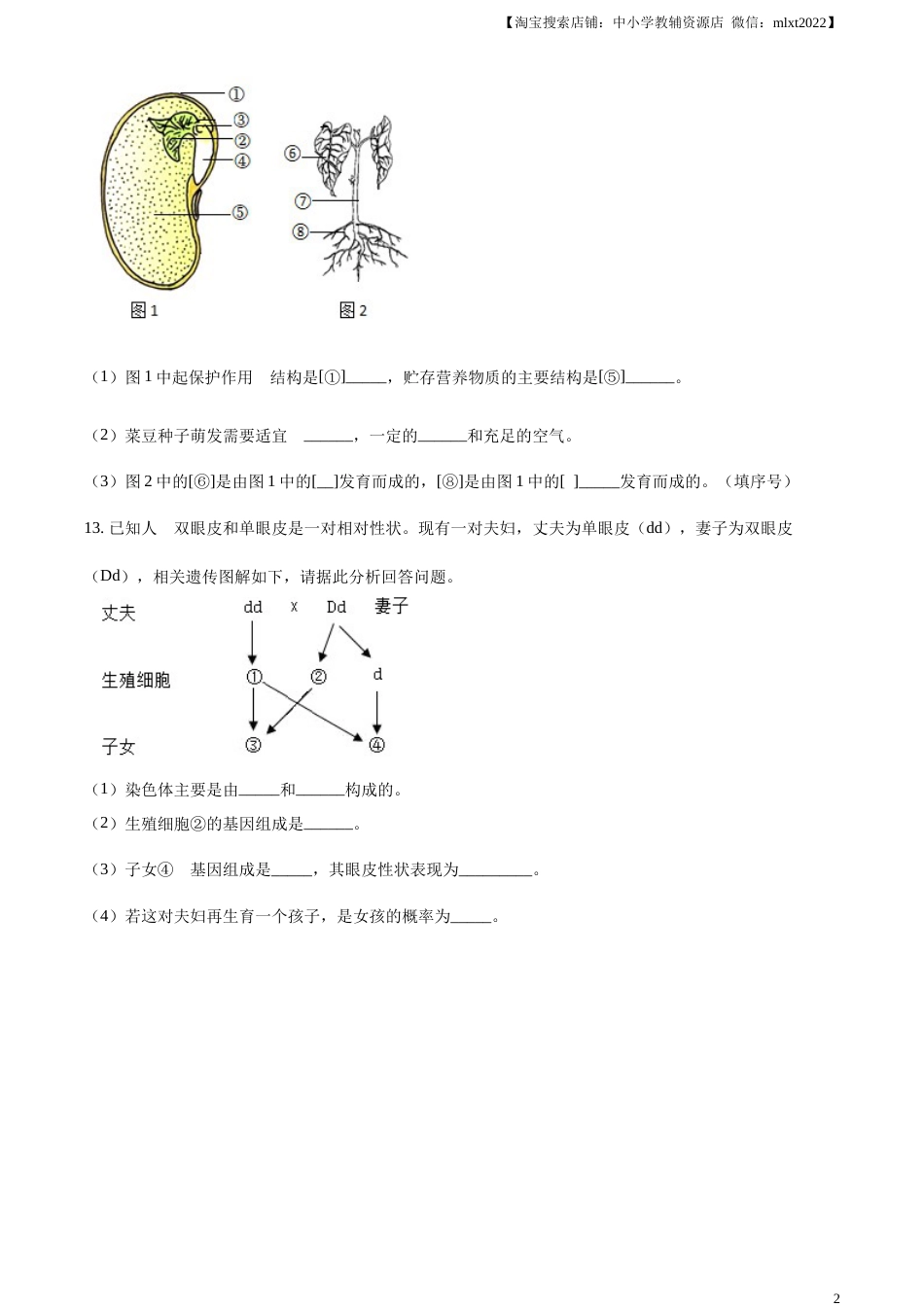 精品解析：2023年甘肃省武威市、嘉峪关市、临夏州中考生物真题（原卷版）.docx_第2页