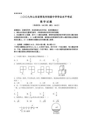 2009年青岛市中考数学试题及答案.doc