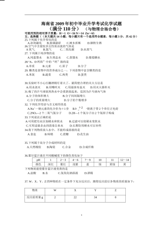 2009年海南中考化学试题及答案.doc