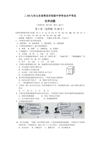 2009年山东省青岛市中考化学试题及答案.doc