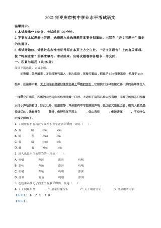 山东省枣庄市2021年中考语文试题（解析版）.doc