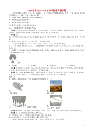山东省潍坊市2019年中考物理真题试题（含解析）.docx