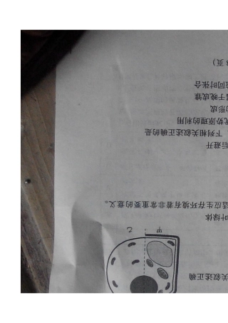 山东省潍坊市2016年中考生物真题试题（扫描版，含答案）.doc