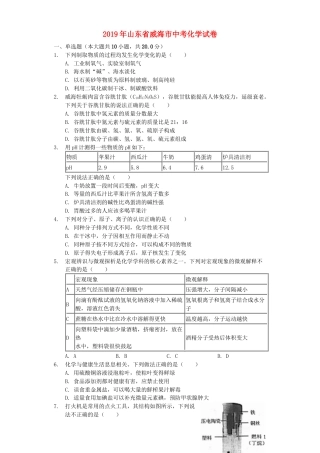 山东省威海市2019年中考化学真题试题（含解析）.docx