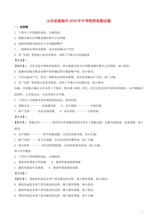 山东省威海市2018年中考物理真题试题（含解析）.doc