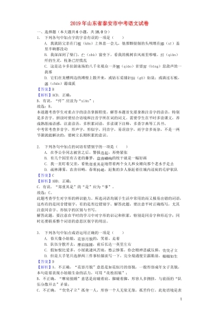 山东省泰安市2019年中考语文真题试题（含解析）.docx