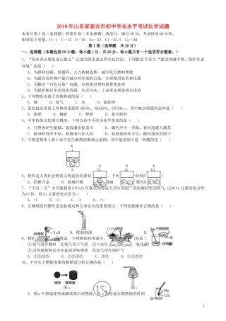 山东省泰安市2019年中考化学真题试题.doc