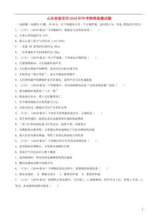 山东省泰安市2018年中考物理真题试题（含解析）.doc