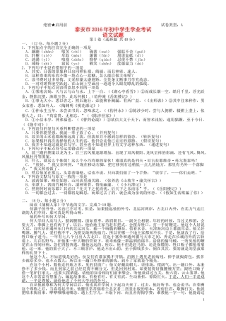 山东省泰安市2016年中考语文真题试题（含答案）.doc