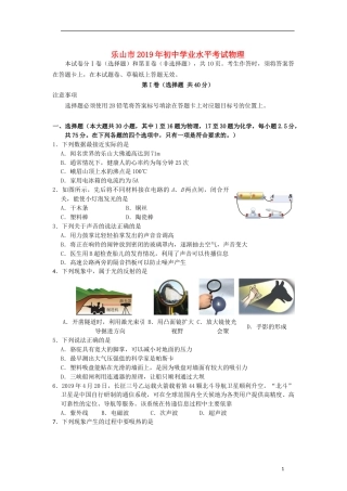 四川省乐山市2019年中考物理真题试题.doc