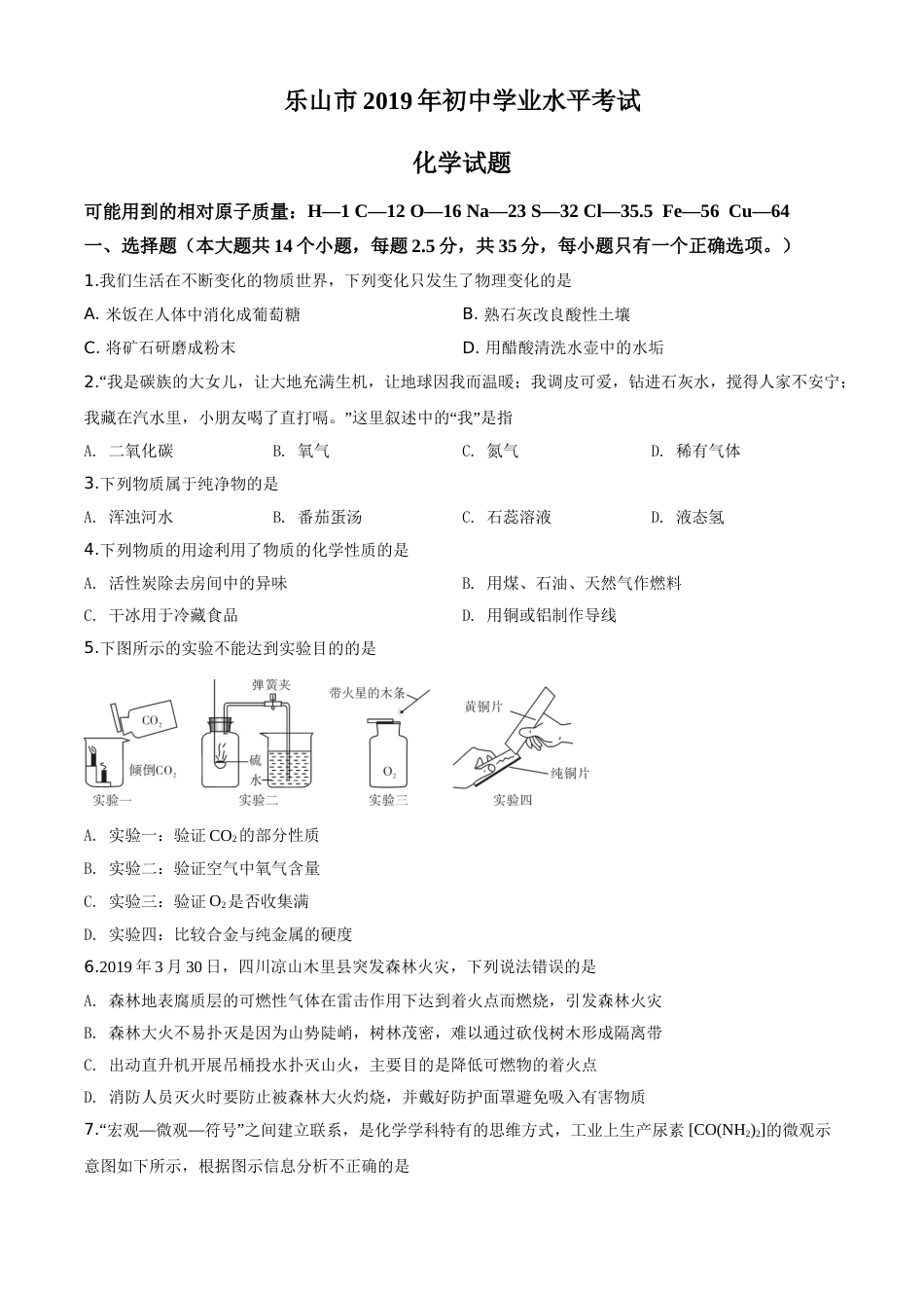 四川省乐山市2019年中考化学试题.doc_第1页