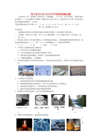 四川省乐山市2018年中考物理真题试题（含答案）.doc