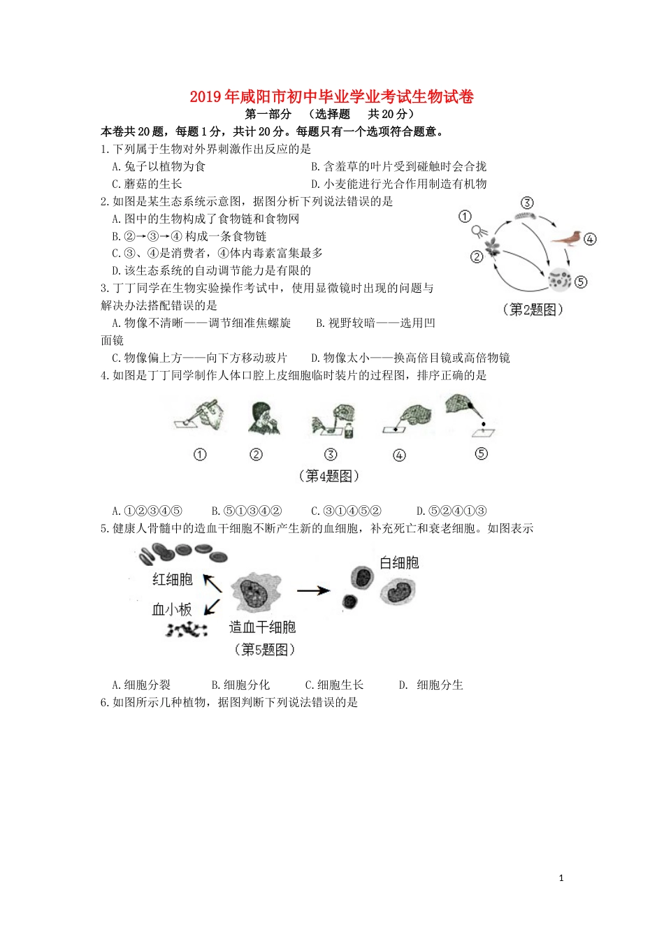 陕西省咸阳市2019年中考生物真题试题.docx_第1页