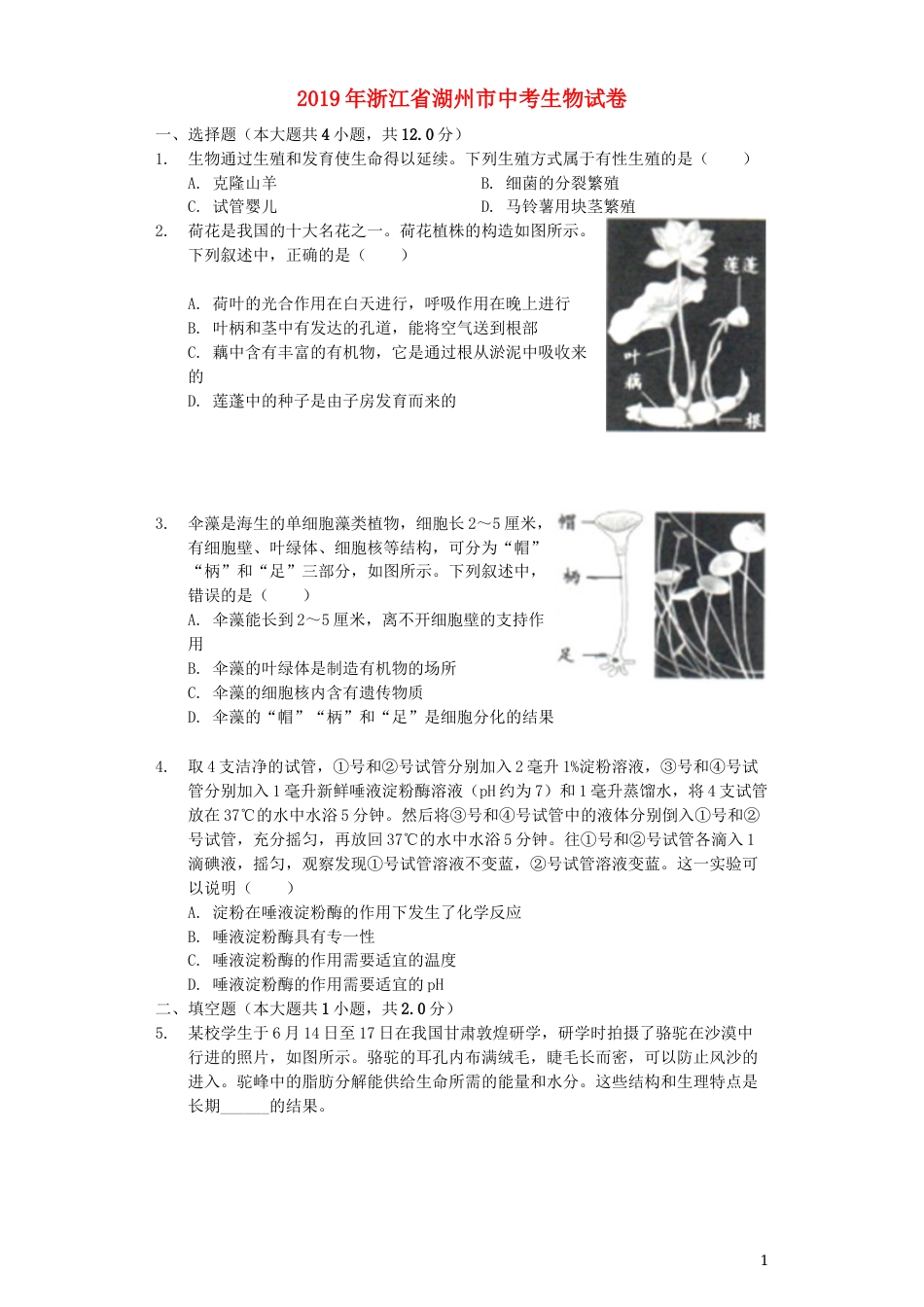 浙江省湖州市2019年中考生物真题试题（含解析）.docx_第1页