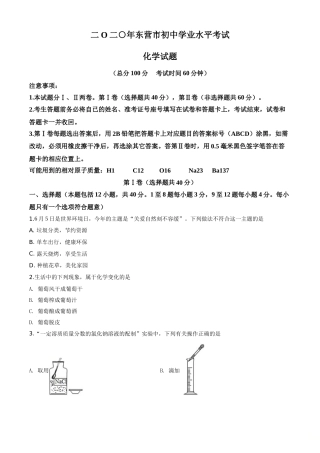 精品解析：山东省东营市2020年中考化学试题（原卷版）.doc
