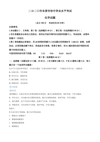 精品解析：山东省东营市2020年中考化学试题（解析版）.doc
