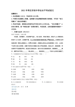 精品解析：山东省枣庄市2021年中考语文试题（解析版）.doc