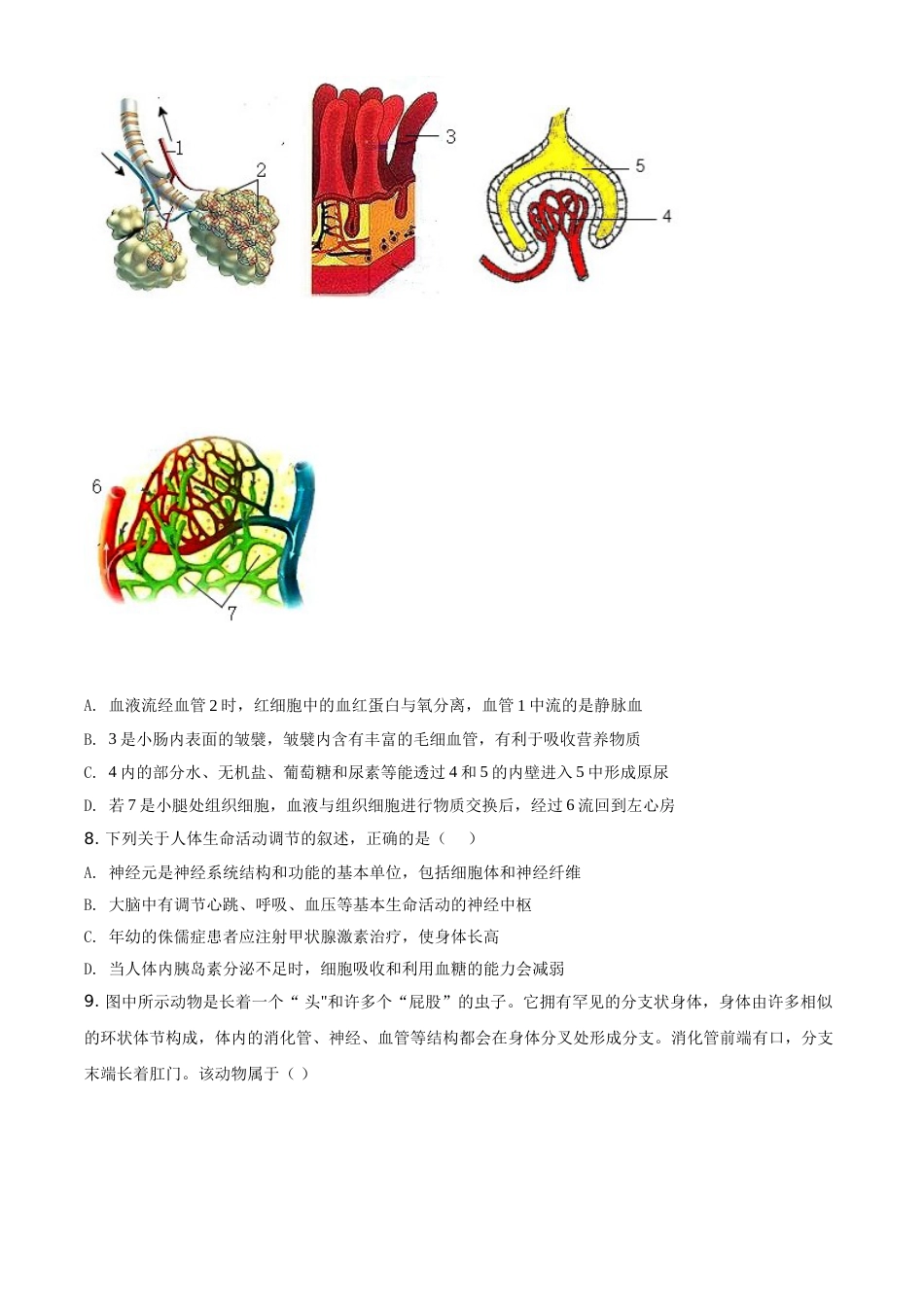 精品解析：山东省泰安市2021年中考生物试题（原卷版）.doc_第3页
