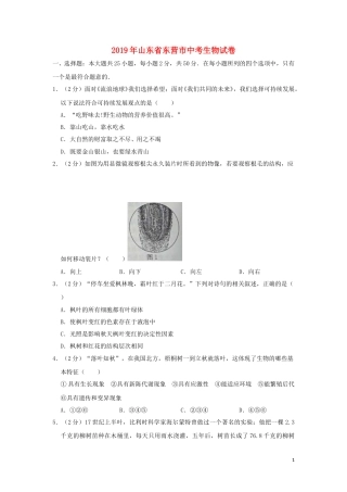 山东省东营市2019年中考生物真题试题（含解析）.doc
