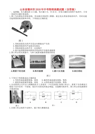 山东省德州市2018年中考物理真题试题（含答案）.doc
