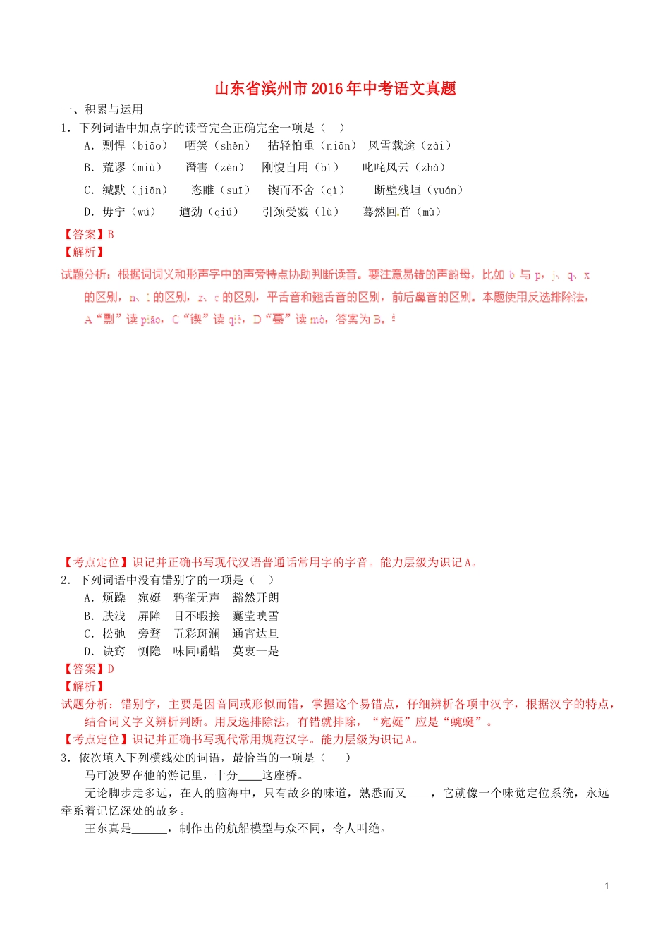 山东省滨州市2016年中考语文真题（含解析）.doc_第1页