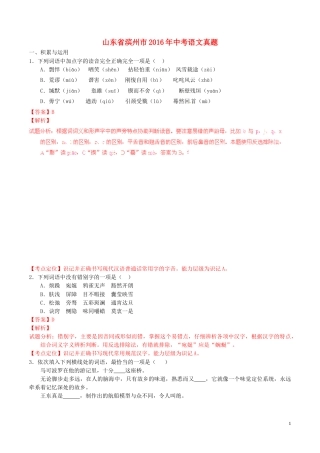 山东省滨州市2016年中考语文真题（含解析）.doc
