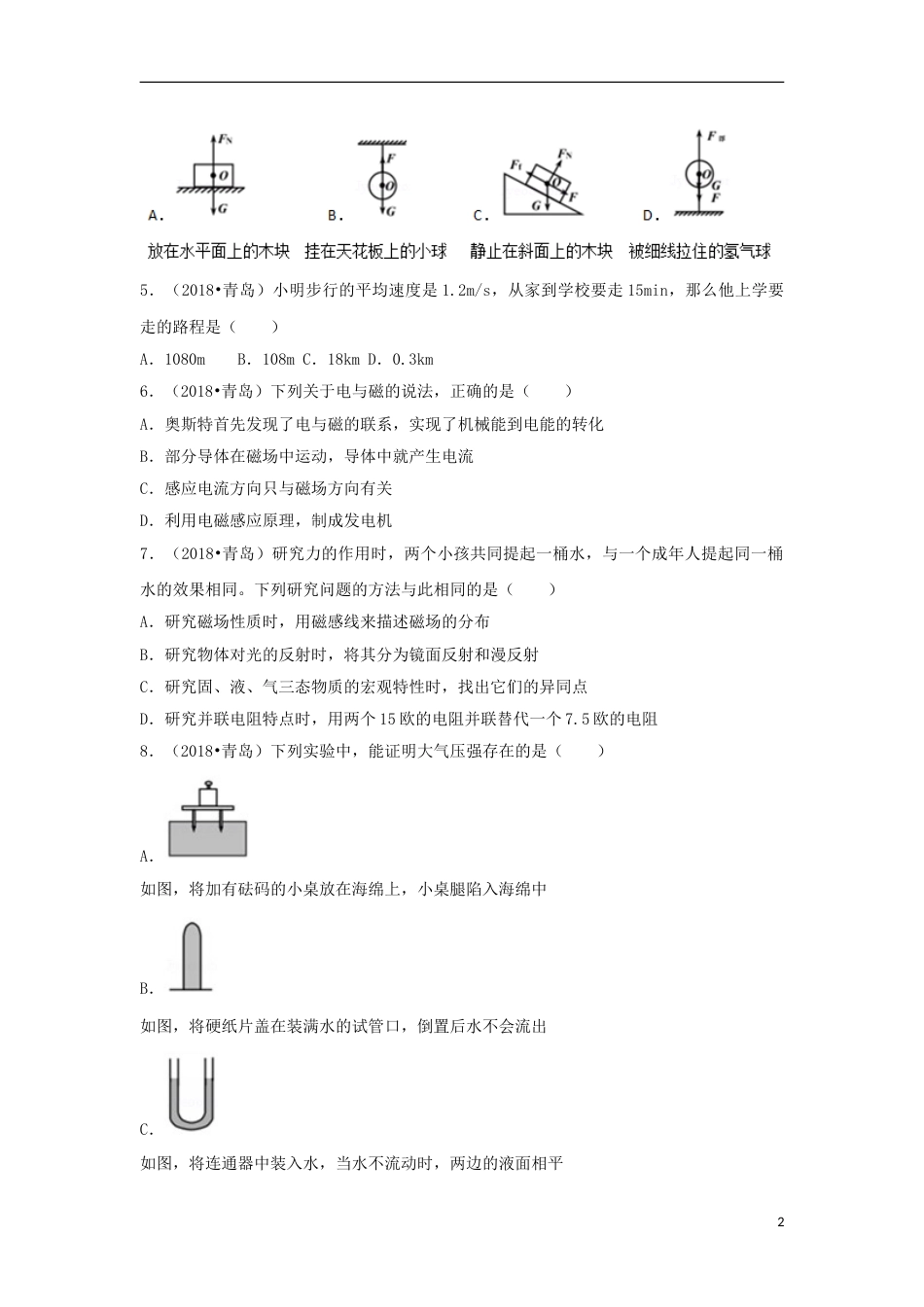 山东省青岛市2018年中考物理真题试题（含解析）.doc_第2页