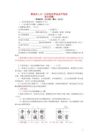 山东省青岛市2016年中考语文真题试题（含答案）.doc