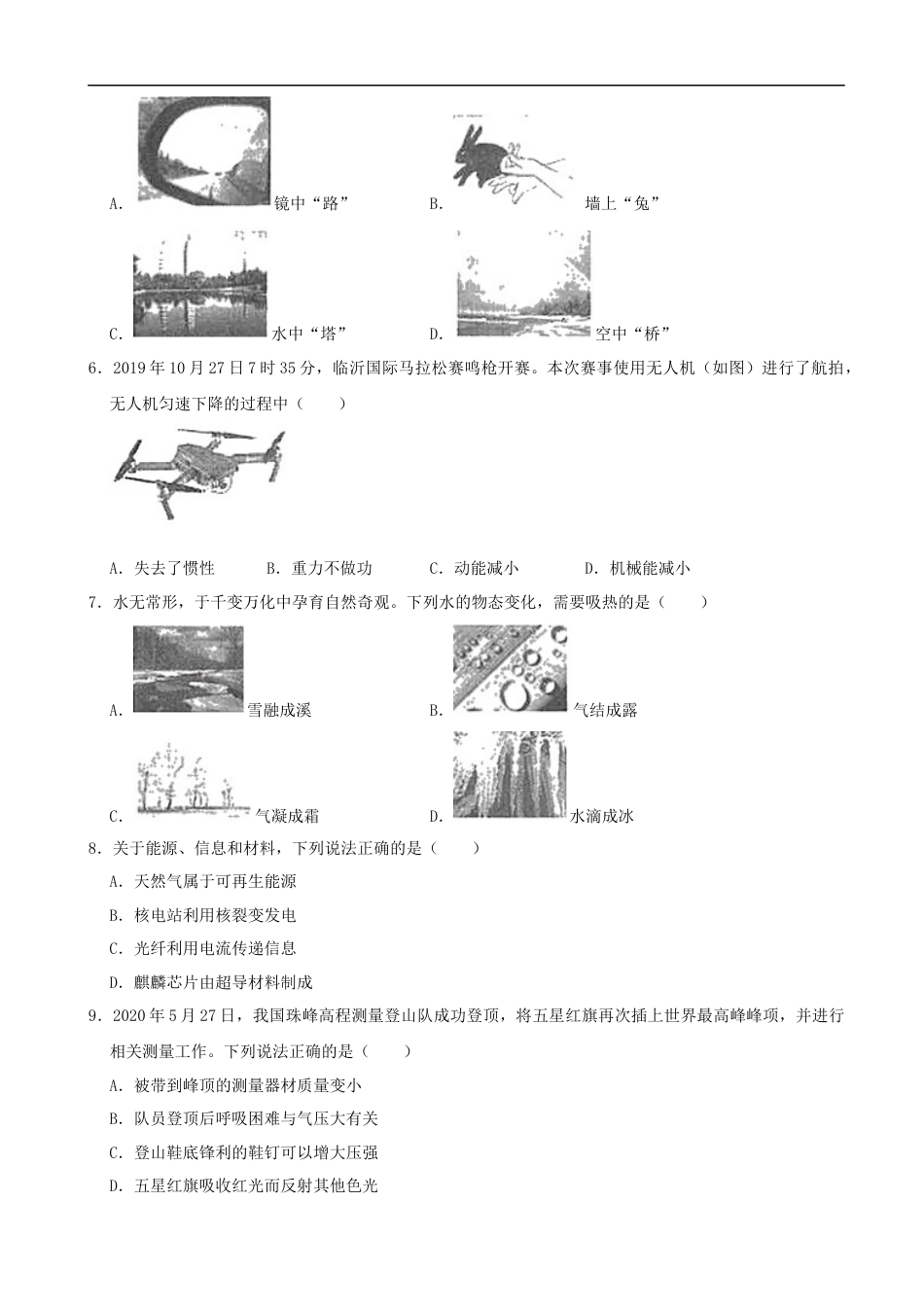 山东省临沂市2020年中考物理试题（word版，含解析）.docx_第2页