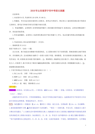 山东省济宁市2019年中考语文真题试题（含解析）.doc