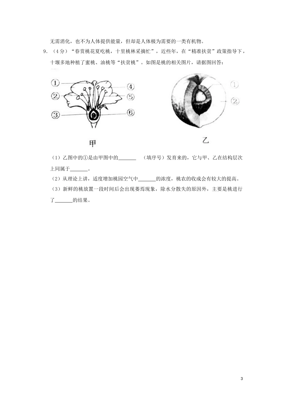 湖北省十堰市2019年中考生物真题试题（含解析）.doc_第3页