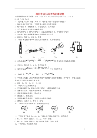 湖南省郴州市2015年中考化学真题试题（含扫描答案）.doc