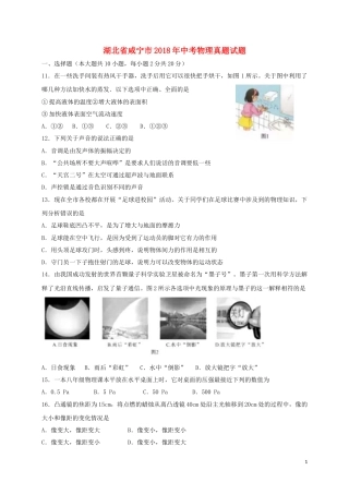 湖北省咸宁市2018年中考物理真题试题（含答案）.doc
