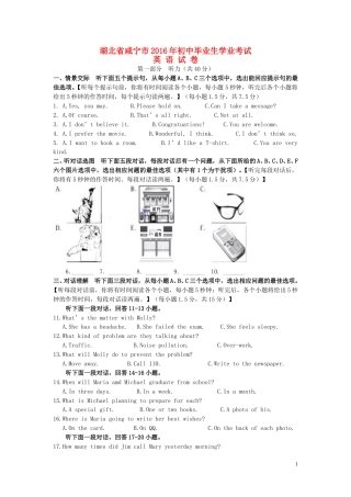 湖北省咸宁市2016年中考英语真题试题（含答案）.doc