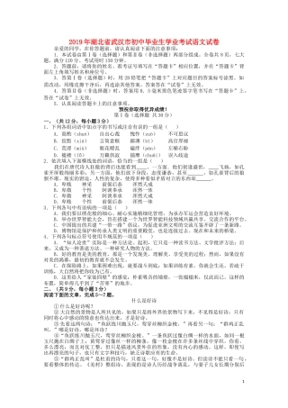 湖北省武汉市2019年中考语文真题试题.docx