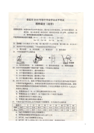 湖南省娄底市2016年中考化学真题试题（扫描版，含答案）.DOC