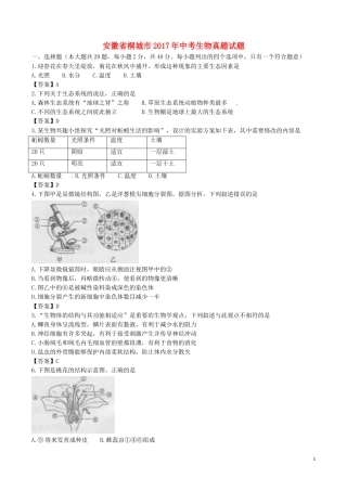 安徽省桐城市2017年中考生物真题试题（含答案）.doc
