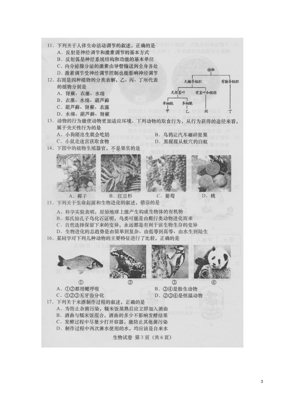 安徽省桐城市2016年中考生物真题试题（扫描版，含答案）.doc_第3页