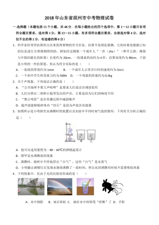 2018滨州中考物理试题.doc