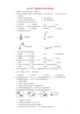 广西梧州市2019年中考化学真题试题（含解析）.docx