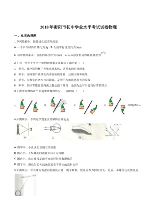 2018年中考物理试题.doc
