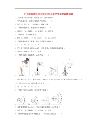 广西北部湾经济开发区2018年中考化学真题试题（含解析1）.doc