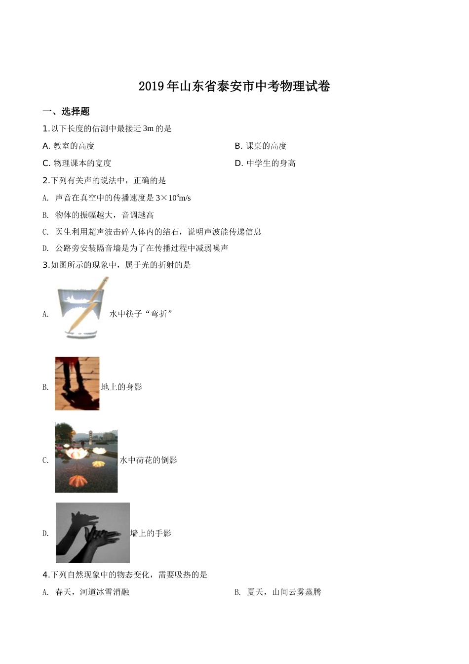 精品解析：2019年山东省泰安市中考物理试题（原卷版）.doc_第1页