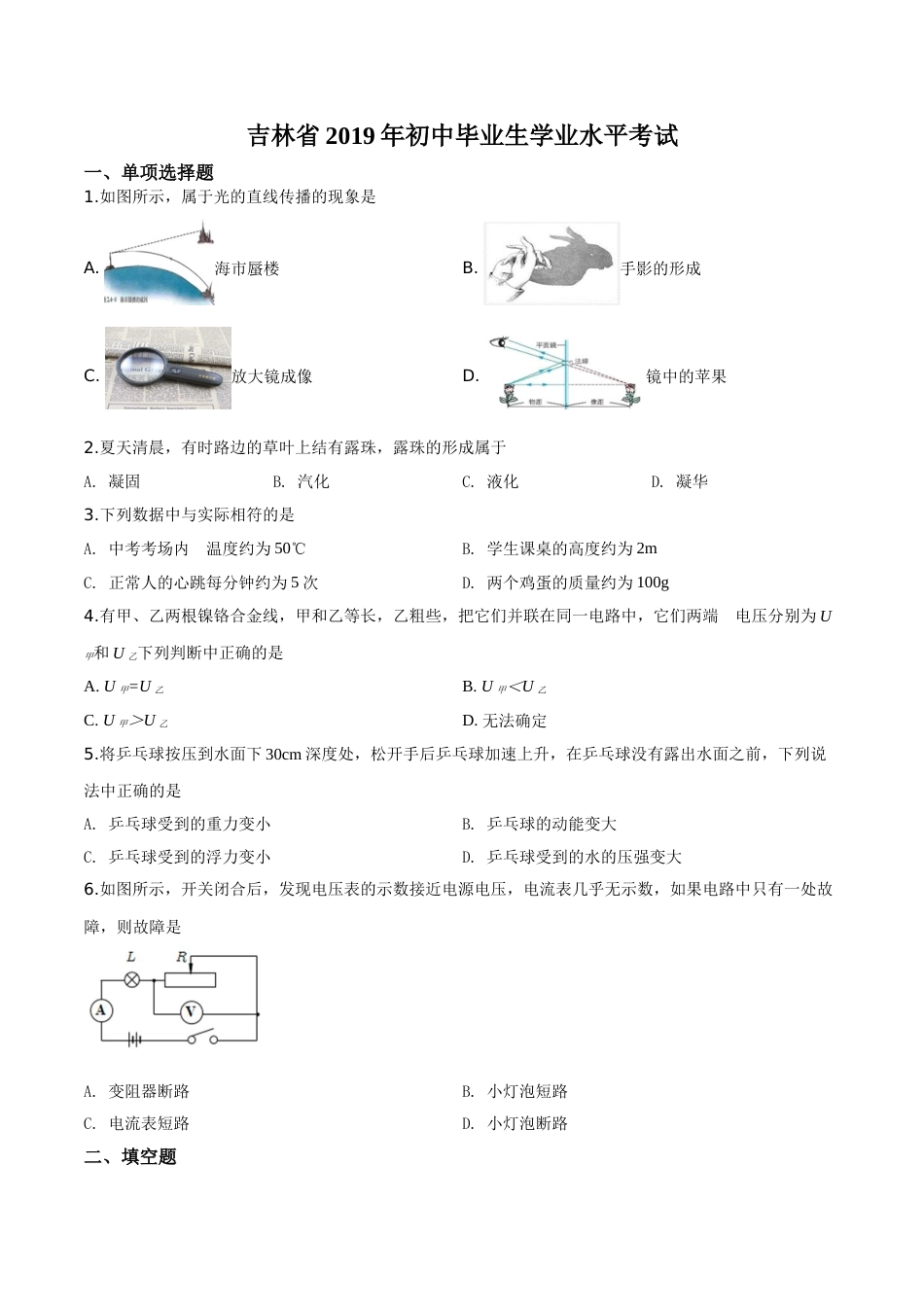 精品解析：2019年吉林省中考物理试题（原卷版）.doc_第1页