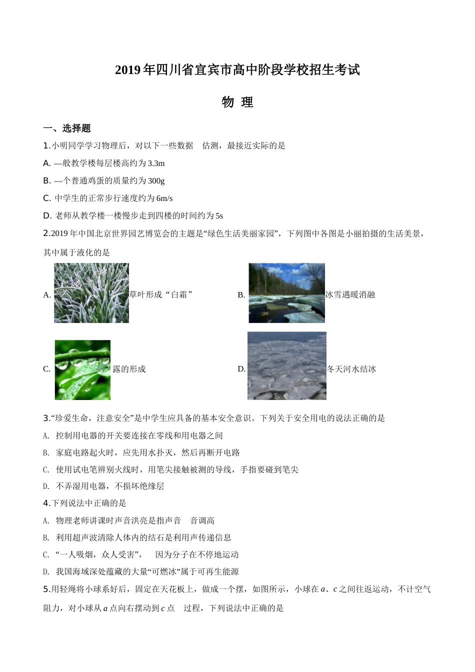 精品解析：2019年四川省宜宾市中考物理试题（原卷版）.doc_第1页